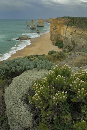 Zwlf Apostel an der Great Ocean Road