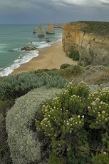 Zwölf Aposel an der Great Ocean Road