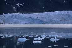 Treibeis in der Nähe vom Monacogletscher